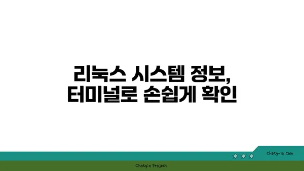 리눅스 초보자를 위한 명령어 완벽 마스터 가이드 | 리눅스, 명령어, 터미널, 기초, 시작