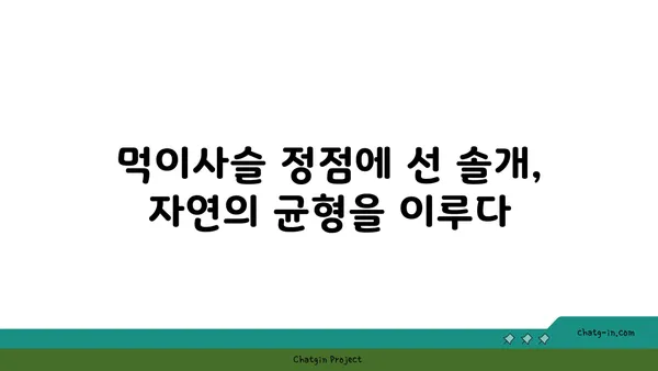 솔개의 비상| 하늘을 지배하는 맹금류의 생존 전략 | 솔개, 맹금류, 생태, 먹이사슬, 비행