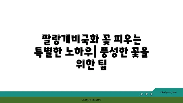 팔랑개비국화 키우기 | 햇살 가득한 베란다 정원 만들기 | 팔랑개비국화, 재배, 관리, 팁, 꽃