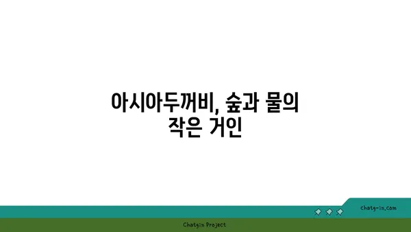 아시아두꺼비| 생태와 보호 | 양서류, 서식지, 위협, 보전