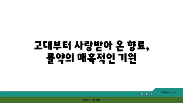 몰약의 모든 것| 기원, 효능, 사용법, 그리고 문화적 의미 | 몰약, 향신료, 약초, 문화, 역사