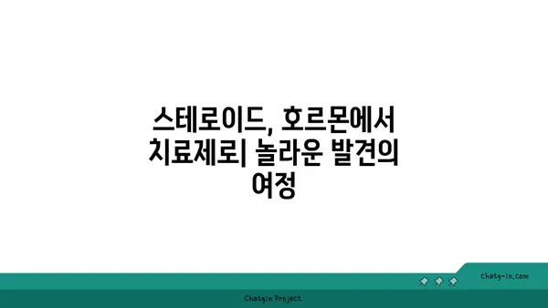 스테로이드의 역사와 진화| 의학적 발전과 논란의 흐름 | 스테로이드, 약물, 의학, 역사, 진화