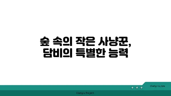 담비, 알고 보니 이렇게 매력적이었어? | 담비, 생태, 특징, 서식지, 보호