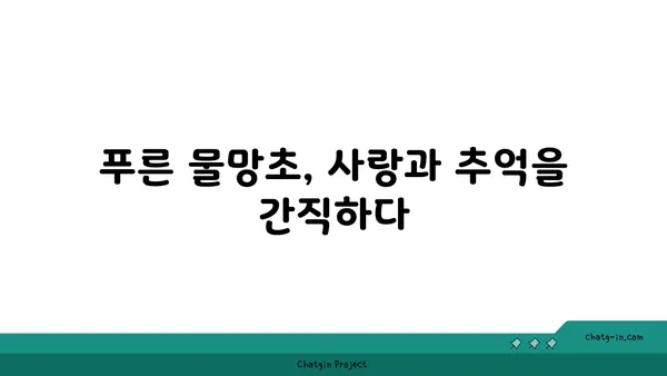 물망초 꽃말, 전설, 의미| 잊지 못할 사랑의 상징 | 꽃말, 전설, 의미, 선물, 기념일