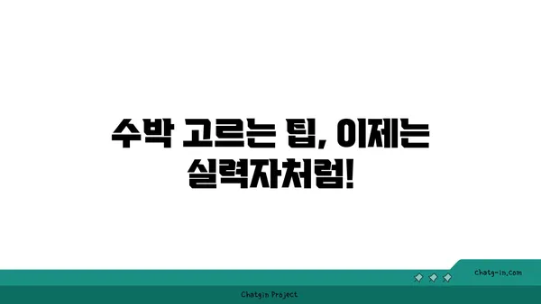 맛있는 수박 고르는 꿀팁 | 수박 고르는 방법, 달콤한 수박 찾는 비결