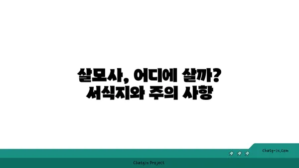 살모사, 알아야 할 모든 것 | 독사, 구별법, 응급처치, 서식지