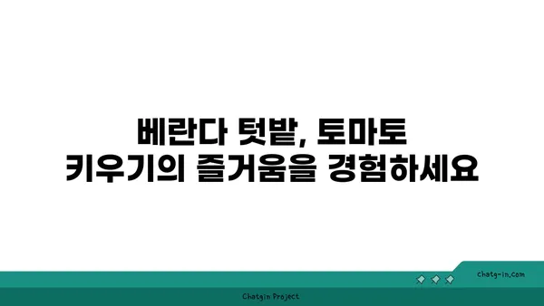 좁은 공간에서도 풍성한 수확! 상자 속 토마토 재배| 혁신적인 방법 | 베란다텃밭, 공간활용, 토마토 키우기