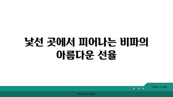 비파를 켜며 떠난 여정| 음악가의 아름다운 이야기 | 비파, 여행, 음악, 감동 이야기