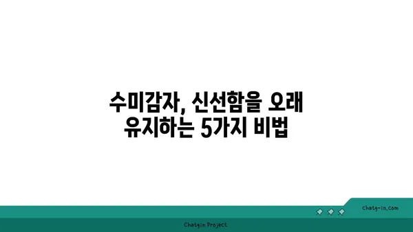 수미감자 오래 보관하는 최고의 방법| 싱싱함을 유지하는 5가지 비법 | 수미감자 보관, 감자 보관법, 오래 보관하는 팁