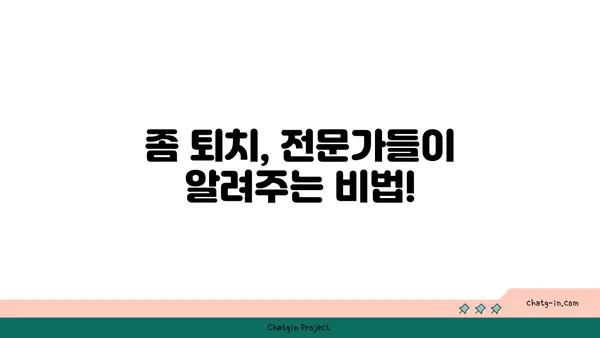 좀 퇴치| 집안의 거침없는 침입자를 없애는 완벽 가이드 | 좀, 퇴치, 벌레, 해충, 방제