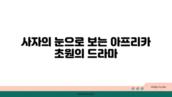 사자의 비밀| 아프리카 초원의 지배자를 파헤쳐 보세요 | 사자, 아프리카, 야생 동물, 동물 다큐멘터리