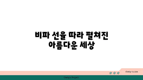 비파를 켜며 떠난 여정| 음악가의 아름다운 이야기 | 비파, 여행, 음악, 감동 이야기