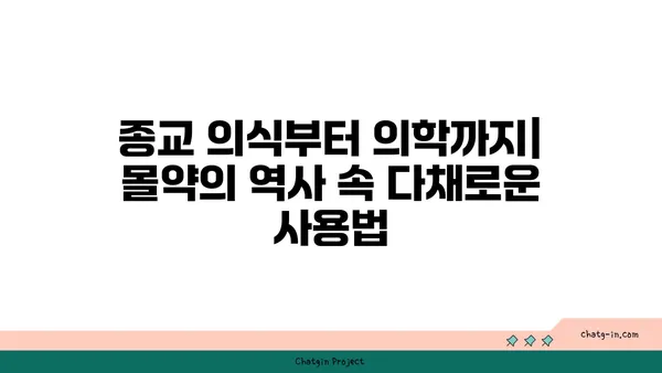 몰약의 모든 것| 기원, 효능, 사용법, 그리고 문화적 의미 | 몰약, 향신료, 약초, 문화, 역사