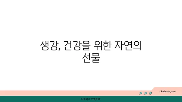 생강의 놀라운 효능| 건강, 요리, 그리고 생활 속 활용법 | 생강 효능, 생강 활용, 생강 레시피, 생강 차, 몸에 좋은 음식