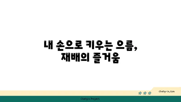 으름덩굴의 매력, 탐험해보세요! | 으름, 으름덩굴, 으름 열매, 으름 효능, 으름 재배