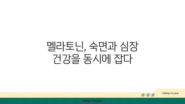 멜라토닌과 심장 건강| 심혈관 질환 위험 감소 | 멜라토닌, 심장 건강, 심혈관 질환, 건강 정보