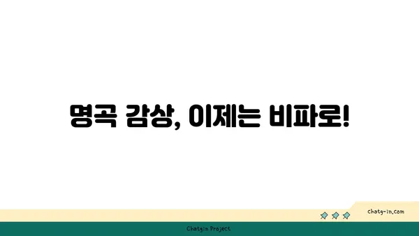 비파 감상 가이드| 걸작 이해를 위한 5가지 단계 | 비파, 감상, 음악, 클래식, 가이드