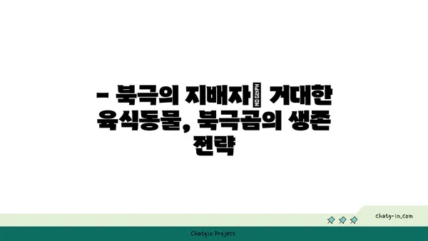 큰곰의 생태와 행동| 지구상 가장 큰 육상 포식자 | 북극곰, 곰, 야생동물, 생존