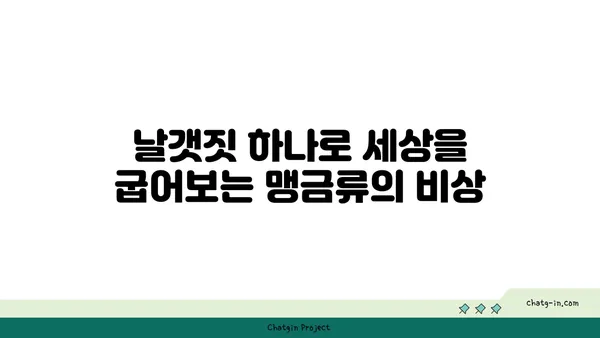 솔개의 비상| 하늘을 지배하는 맹금류의 생존 전략 | 솔개, 맹금류, 생태, 먹이사슬, 비행