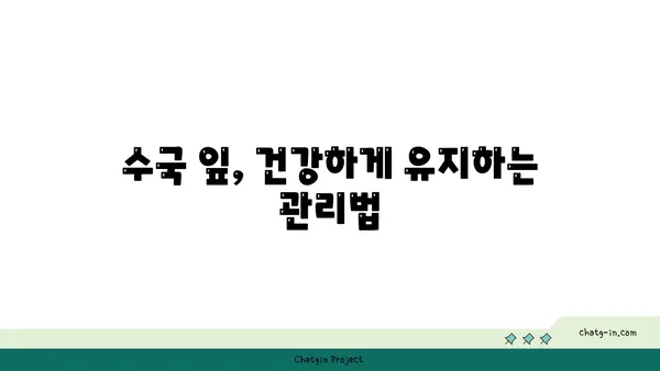 수국 개화 기간 연장하기| 가을까지 아름다움 유지하는 팁 | 수국, 개화, 가을, 관리, 팁