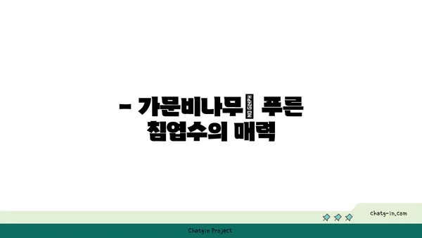 가문비나무의 매력| 특징, 종류, 그리고 활용 |  가문비나무, 침엽수, 조경, 목재, 효능