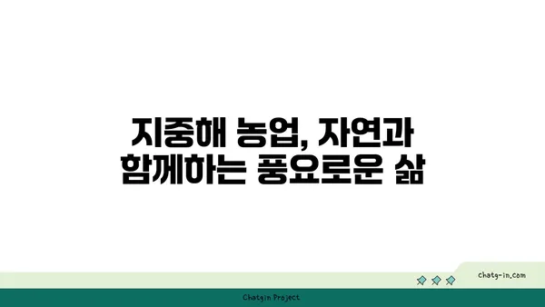 지중해성 기후의 매력| 햇살 가득한 삶과 풍요로운 자연 | 지중해, 기후, 여행, 식물, 농업