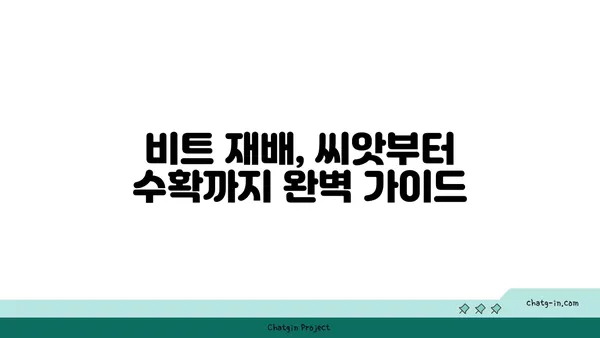 비트 재배, 성공적인 시작을 위한 완벽 가이드 | 비트, 재배, 팁, 방법, 관리