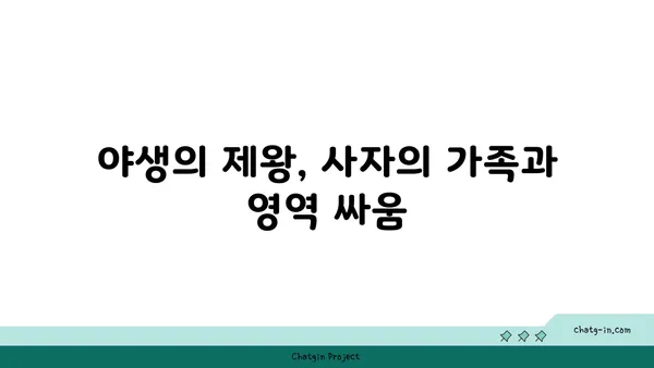 사자의 비밀| 아프리카 초원의 지배자를 파헤쳐 보세요 | 사자, 아프리카, 야생 동물, 동물 다큐멘터리