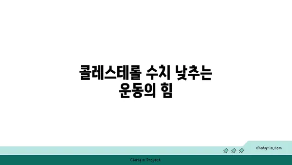 콜레스테롤 낮추는 3가지 실용적인 팁 | 건강, 식단, 생활 습관