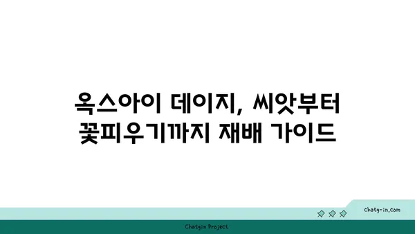 옥스아이 데이지| 야생화 애호가를 사로잡는 매력 | 야생화, 꽃말, 재배 정보, 옥스아이 데이지