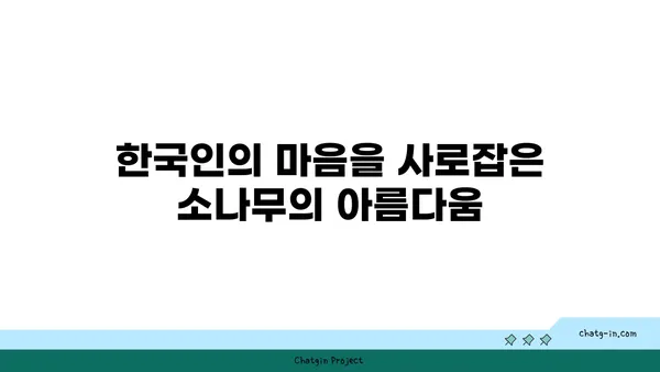 소나무의 매력에 빠지다| 한국의 소나무, 그 아름다움과 의미를 찾아 | 소나무, 한국 전통, 문화, 상징, 나무, 식물, 자연