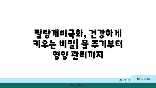 팔랑개비국화 키우기 | 햇살 가득한 베란다 정원 만들기 | 팔랑개비국화, 재배, 관리, 팁, 꽃