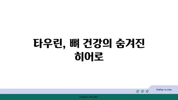 타우린의 놀라운 효능| 골 건강을 위한 잠재적 이점 | 건강, 영양, 뼈 건강, 타우린 효능