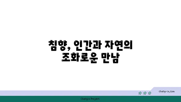 침향의 재배와 수확| 진정한 향의 원천을 찾아서 | 침향, 재배, 수확, 향, 가이드