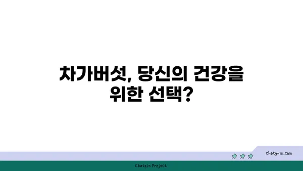 차가버섯 효능과 부작용 완벽 가이드 | 항암 효과, 면역력 강화, 주의 사항, 복용 방법