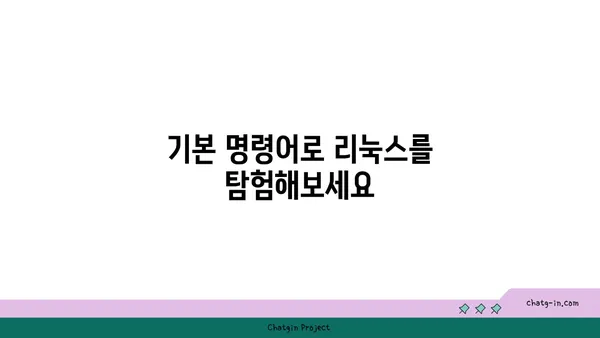 리눅스 초보자를 위한 명령어 완벽 마스터 가이드 | 리눅스, 명령어, 터미널, 기초, 시작