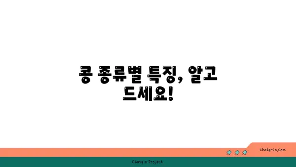 콩, 어떻게 먹어야 건강할까요? | 콩 효능, 콩 요리 레시피, 콩 종류