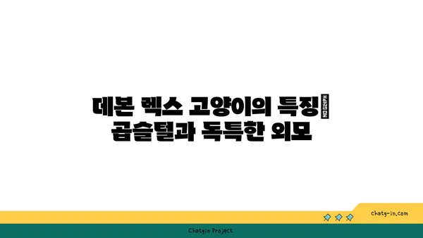 데본 렉스 고양이 완벽 가이드| 성격, 특징, 건강, 관리 | 데본 렉스, 털 없는 고양이, 고양이 품종, 반려동물