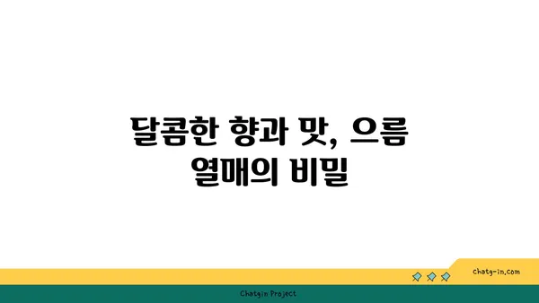 으름덩굴의 매력, 탐험해보세요! | 으름, 으름덩굴, 으름 열매, 으름 효능, 으름 재배