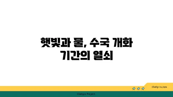 수국 개화 기간 연장하기| 가을까지 아름다움 유지하는 팁 | 수국, 개화, 가을, 관리, 팁