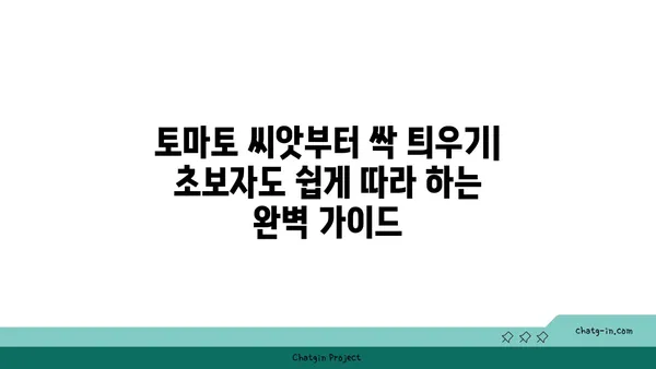 토마토 재배 성공을 위한 초보자 가이드| 씨앗부터 수확까지 완벽하게 | 토마토, 재배, 초보, 가이드, 팁, 정보