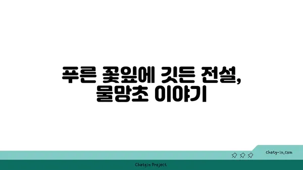 물망초 꽃말, 전설, 의미| 잊지 못할 사랑의 상징 | 꽃말, 전설, 의미, 선물, 기념일