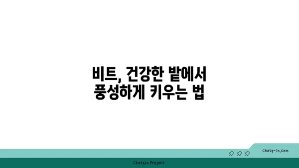 비트 재배, 성공적인 시작을 위한 완벽 가이드 | 비트, 재배, 팁, 방법, 관리