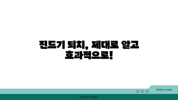 진드기 박멸 완벽 가이드| 종류별 특징부터 천연 해결책까지 | 진드기 제거, 진드기 예방, 진드기 종류