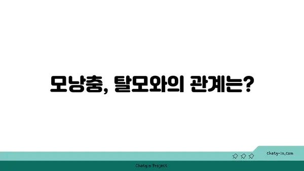 모낭충, 증상과 치료법 완벽 가이드 | 피부 트러블, 가려움, 탈모, 치료 팁