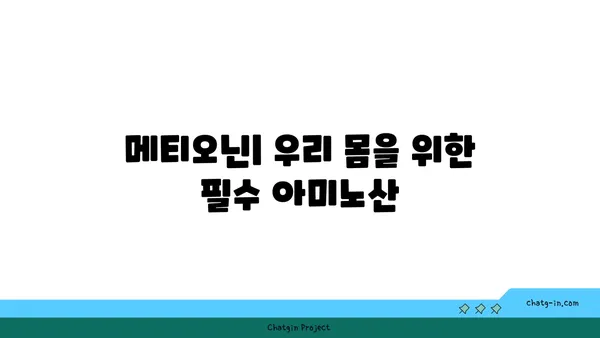 메티오닌의 중요성| 필수 아미노산의 역할과 건강 효과 | 아미노산, 건강, 영양, 식품