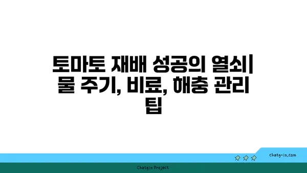 토마토 재배 성공을 위한 초보자 가이드| 씨앗부터 수확까지 완벽하게 | 토마토, 재배, 초보, 가이드, 팁, 정보