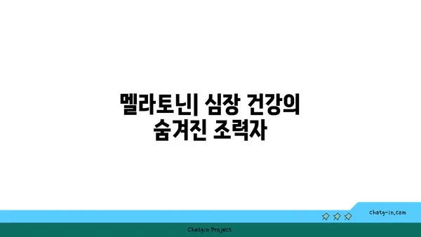 멜라토닌과 심장 건강| 심혈관 질환 위험 감소 | 멜라토닌, 심장 건강, 심혈관 질환, 건강 정보