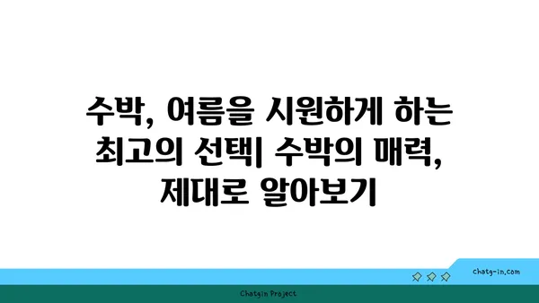 수박의 맛있는 비밀| 달콤함을 맛보는 5가지 방법 | 수박 고르는 팁, 수박 맛있게 먹는 법, 수박 효능