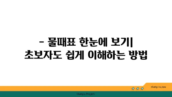 물때표 보는 방법| 초보자를 위한 완벽 가이드 | 물때, 조석, 낚시, 해수욕, 갯벌 체험